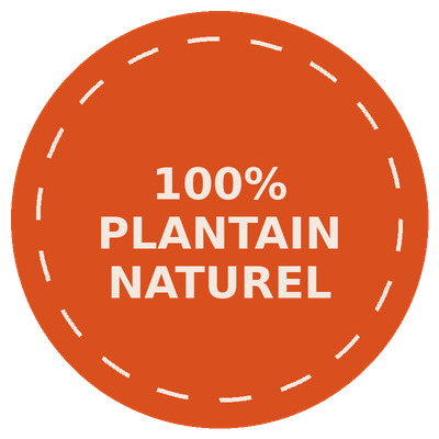 100% Plantain Naturel